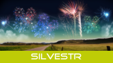 silvestr