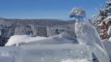 Výlet na Pustevny - Ledové sochy na Pustevnách