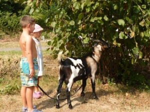 Camping Rožnov – fotka 36