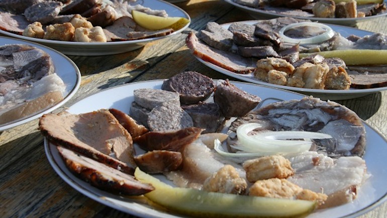 gastrofestival