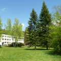 hotel Forman