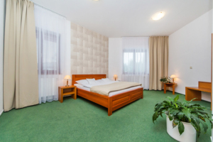 Hotel Horal Rožnov – fotka 19