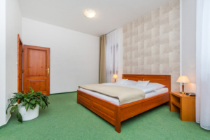 Hotel Horal Rožnov – fotka 18