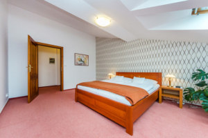 Hotel Horal Rožnov – fotka 21