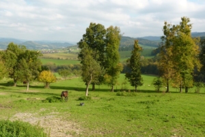 Penzion Hradisko – fotka 8