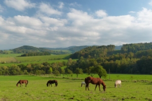 Penzion Hradisko – fotka 3