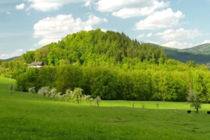 Penzion Hradisko – fotka 7