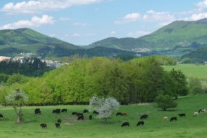 Penzion Hradisko – fotka 5